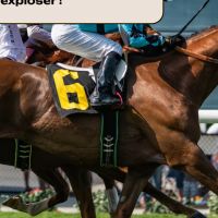 Assistante indépendante à Nimes